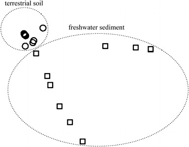 Fig. 1