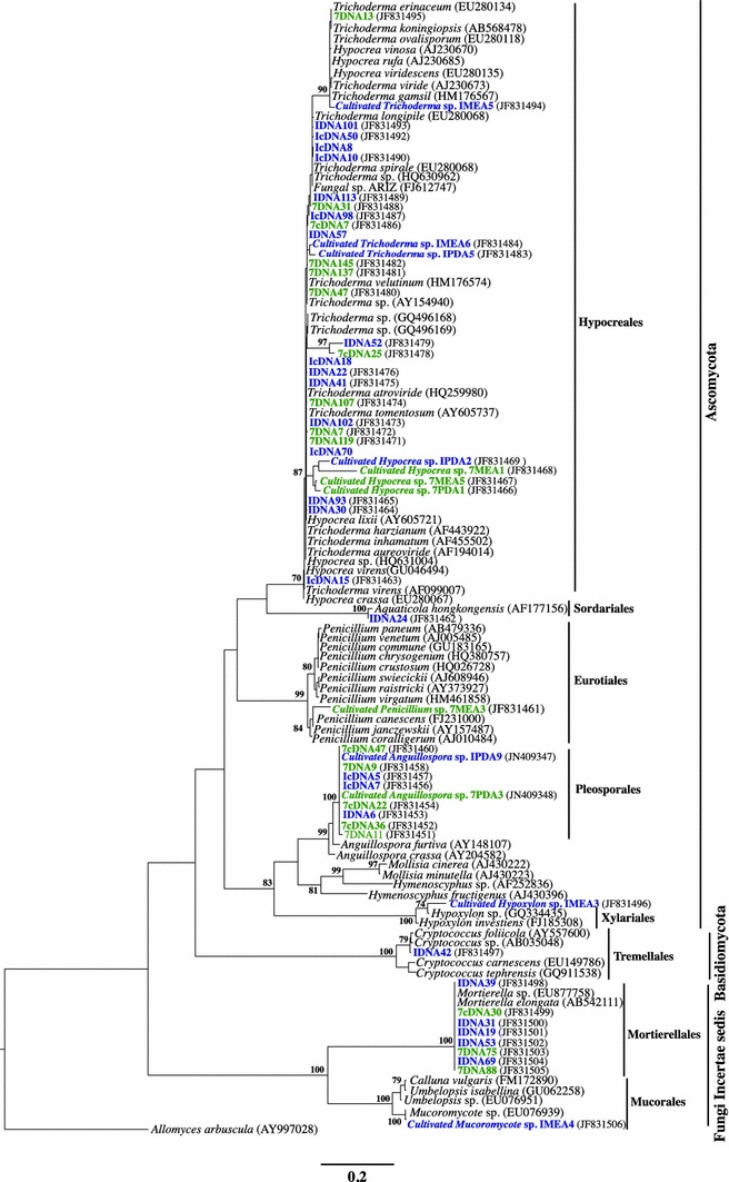 Fig. 2