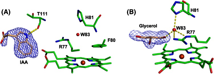 Fig. 6