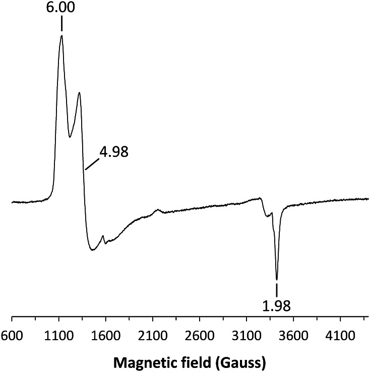 Fig. 2