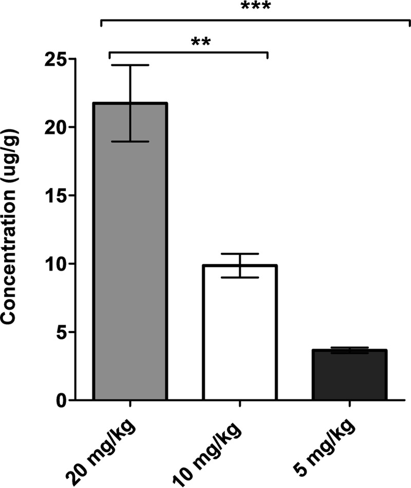 FIG 2