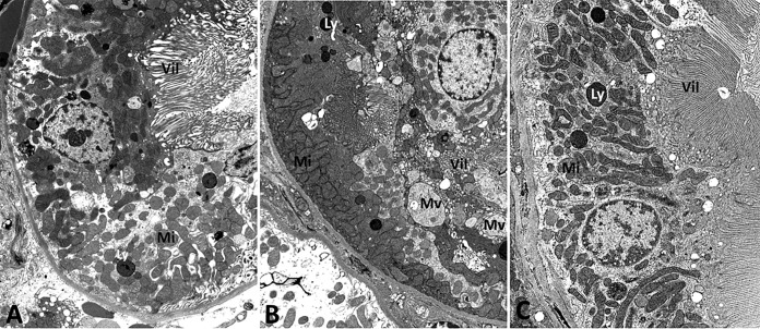 FIG 3