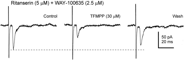 Fig. 5.