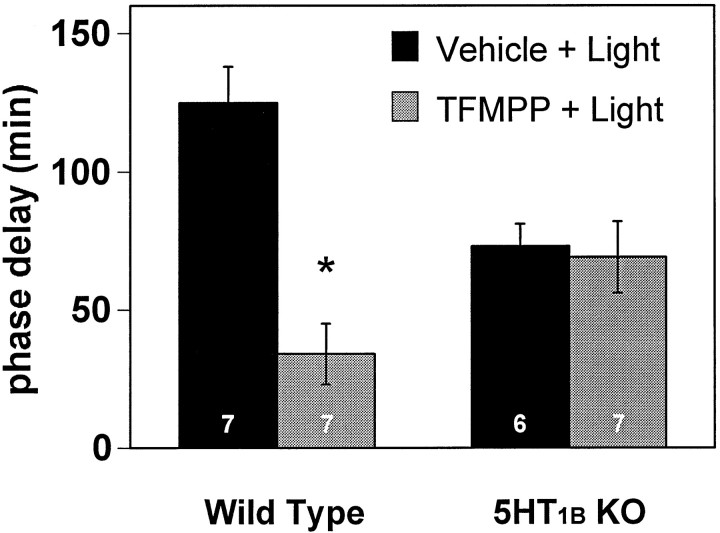 Fig. 9.