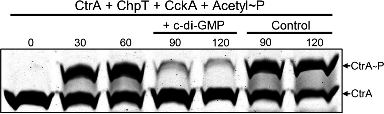 FIG 4