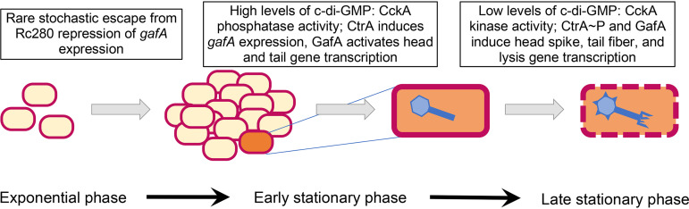 FIG 12