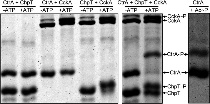 FIG 2