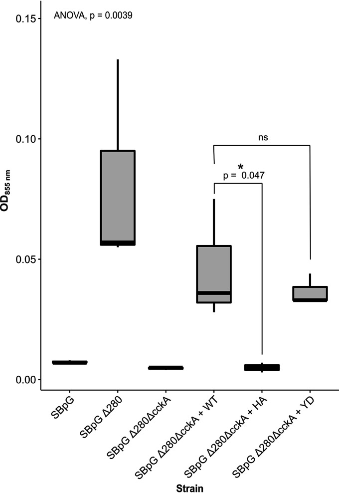 FIG 10