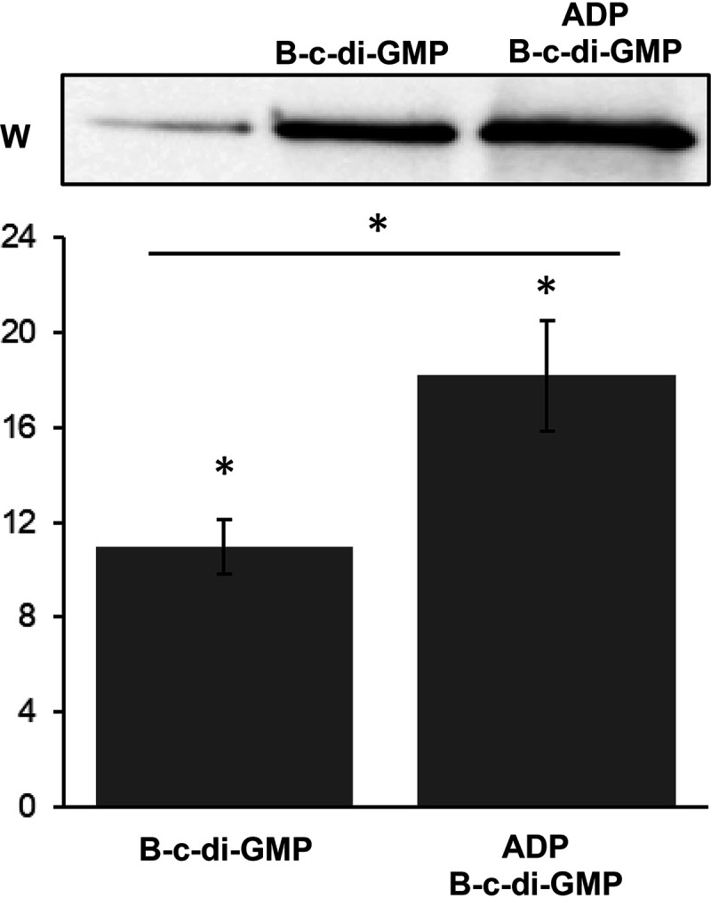 FIG 6