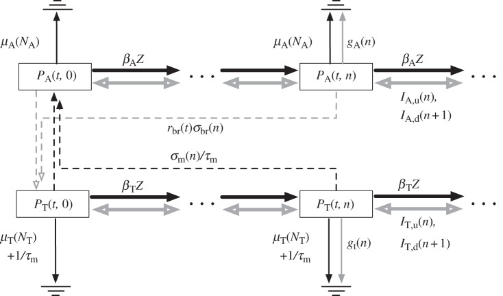 Figure 1.