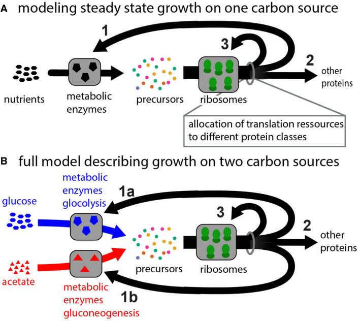 Figure EV3