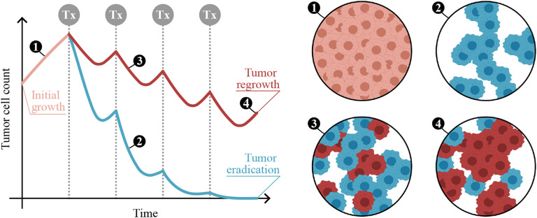 Figure 2: