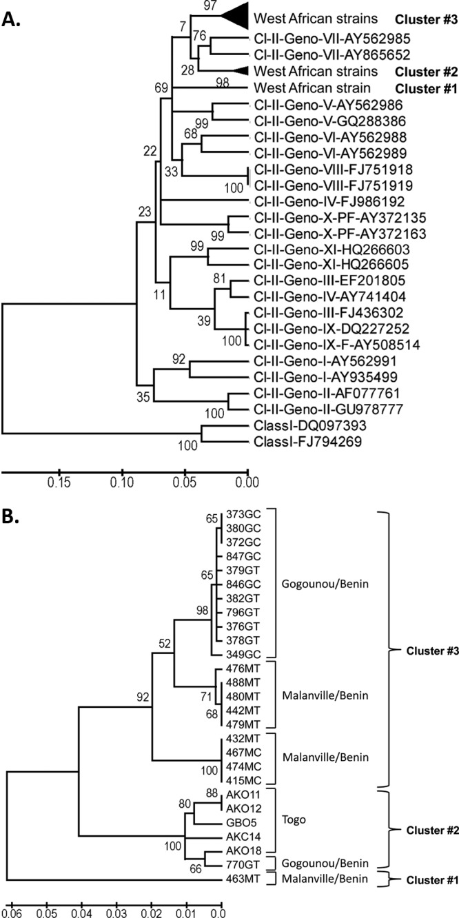 Fig 6