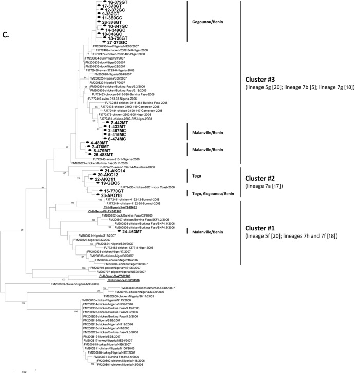 Fig 6