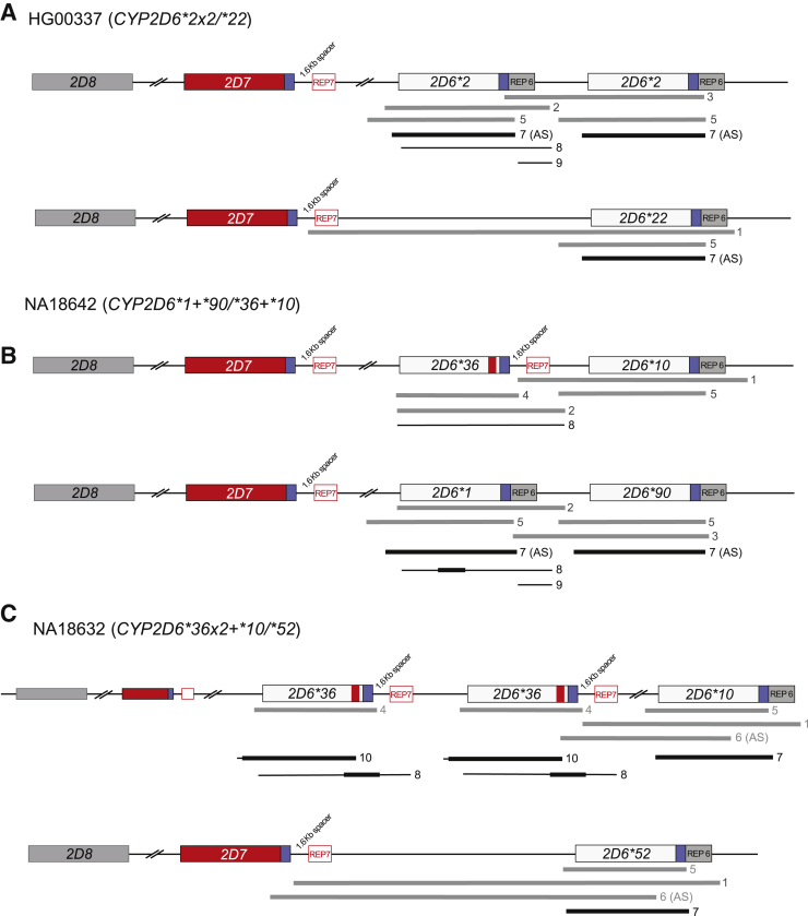 Figure 2