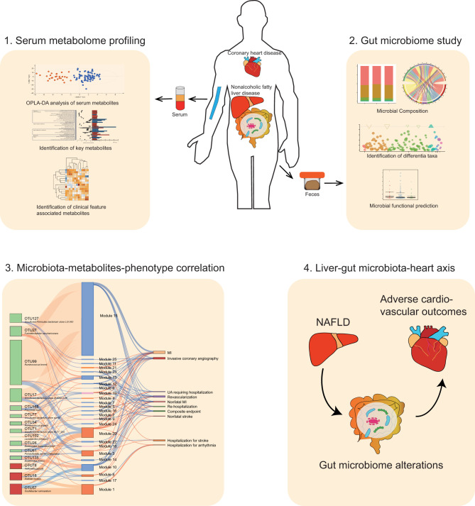 Graphical Abstract