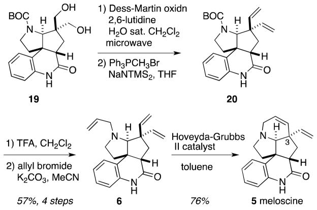 Scheme 5