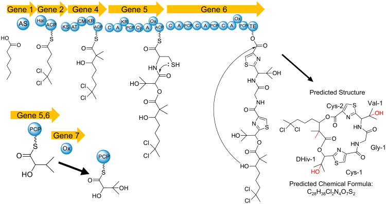 Fig. 9