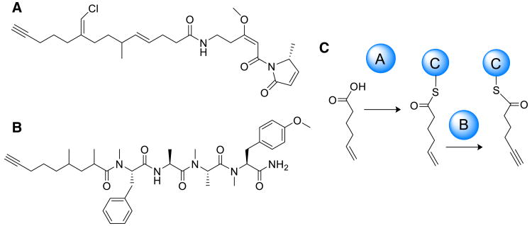 Fig. 3