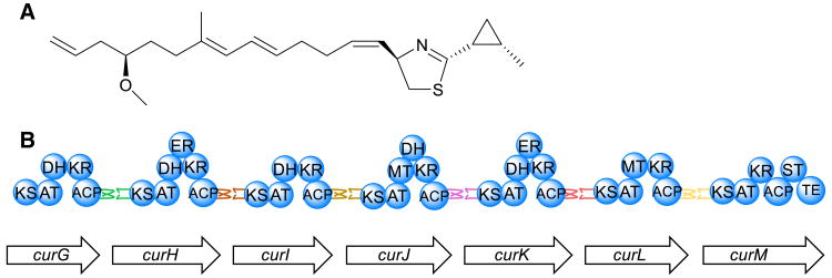 Fig. 2