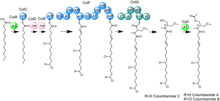 Fig. 6