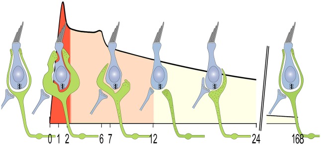 Fig. 9.