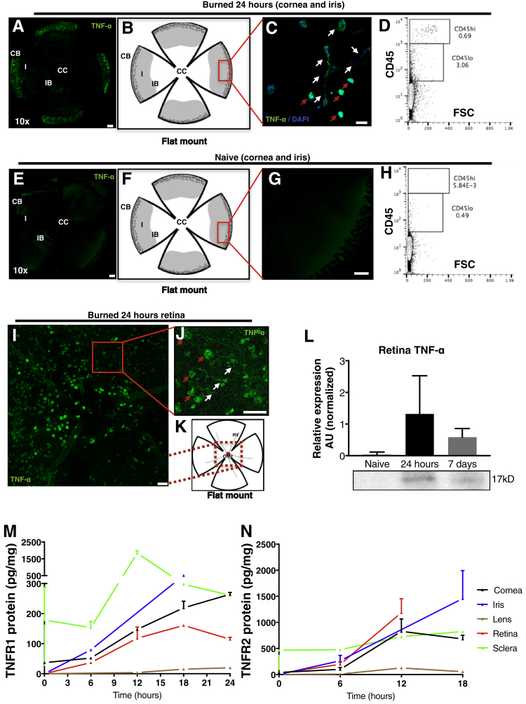 Figure 3