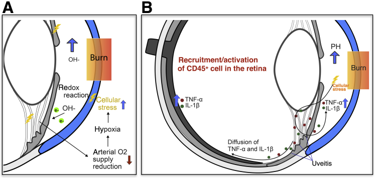 Figure 7