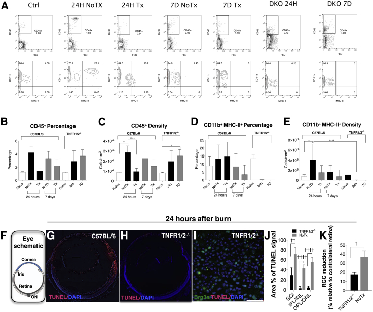 Figure 6