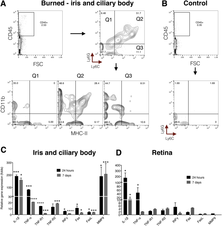 Figure 2