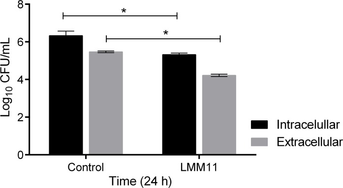 Fig 7