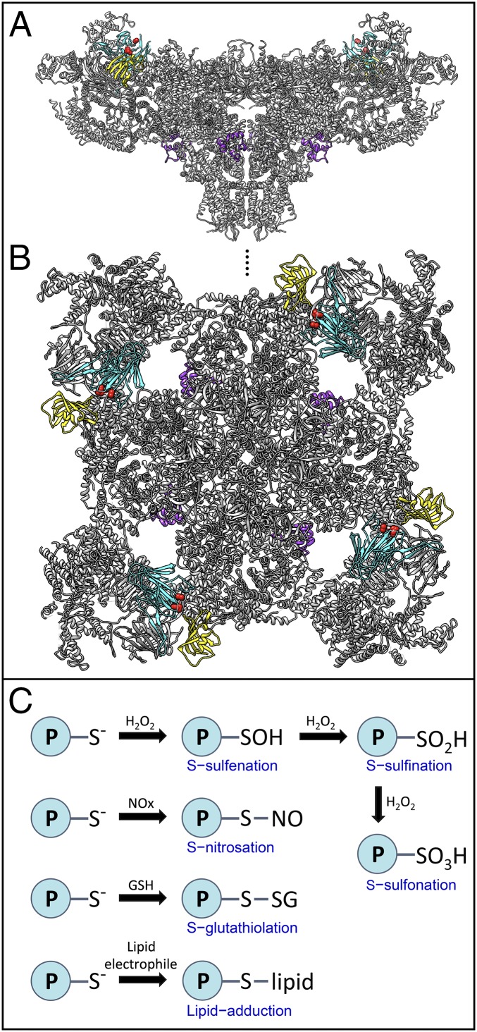 Fig. 1.