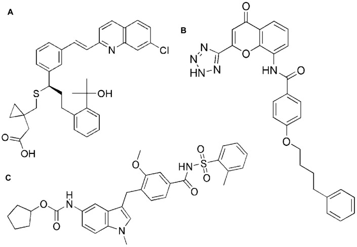 FIGURE 1