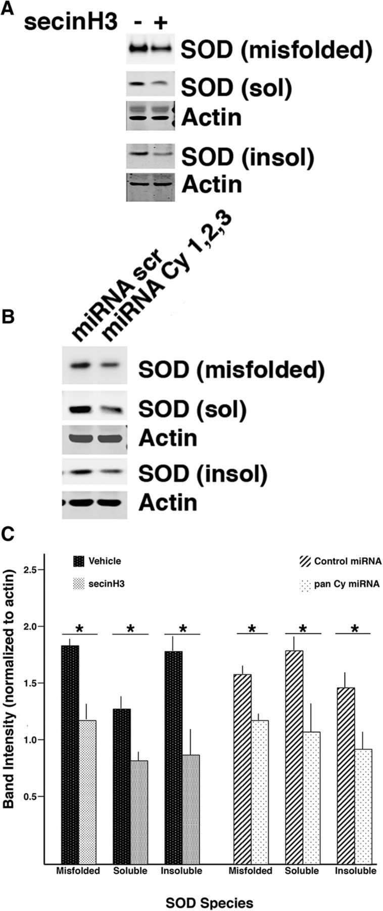 Figure 11.