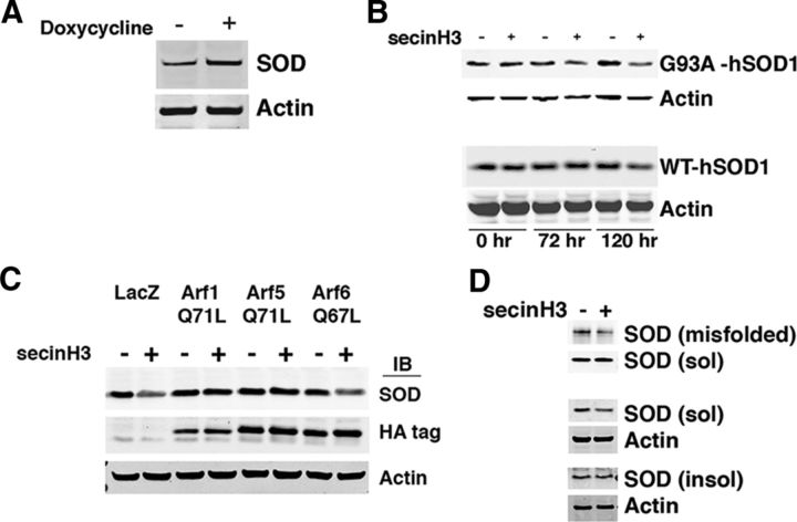 Figure 10.