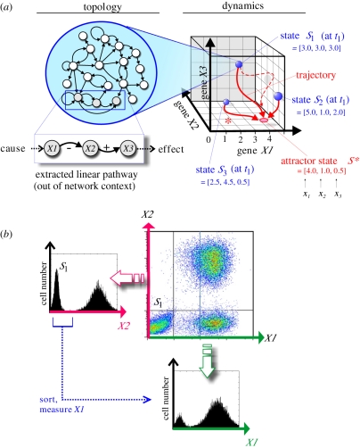 Figure 1.