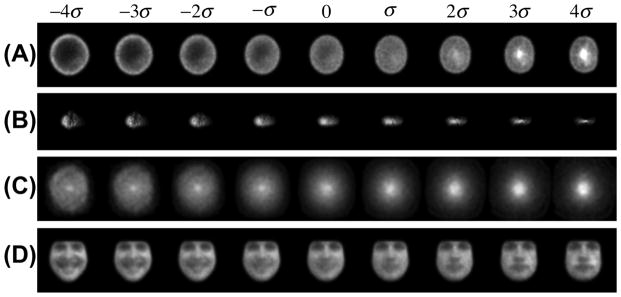 Fig. 9