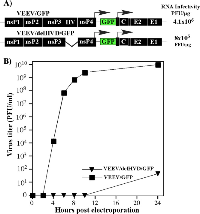 Fig 5