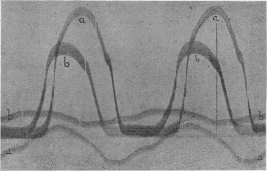 Fig. 21