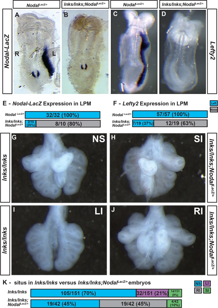 Fig 5