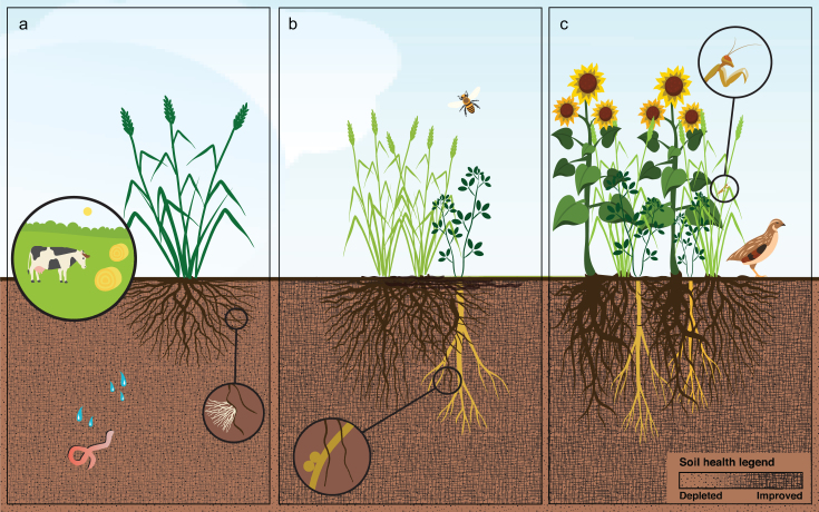 Figure 4.