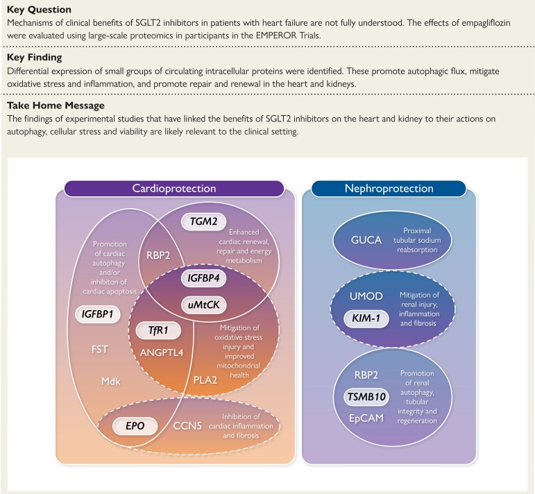 Structured Graphical Abstract