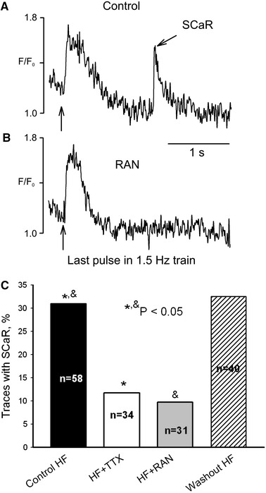 Fig. 4