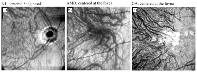 Fig. 8