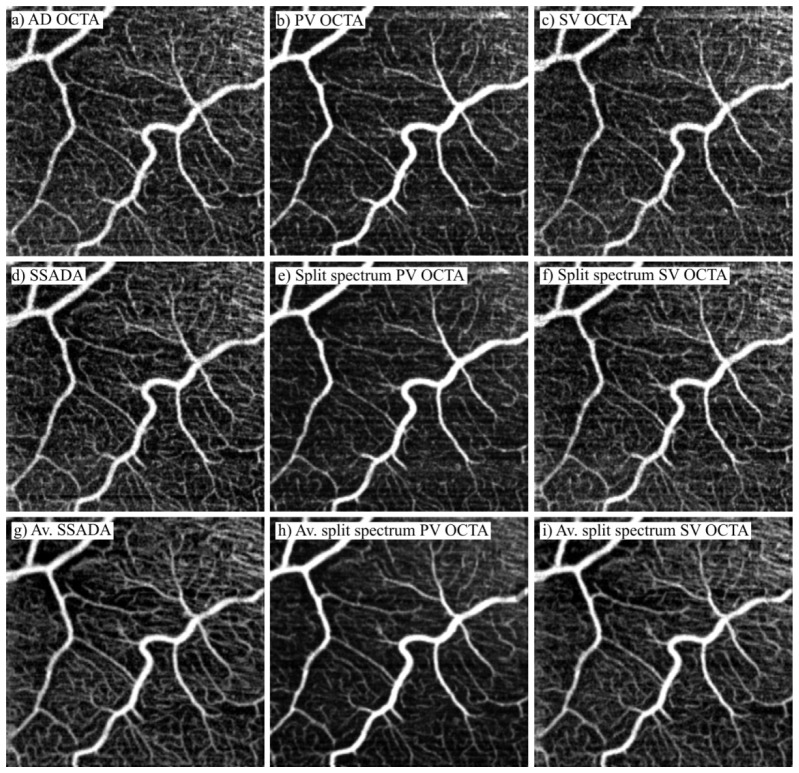 Fig. 10