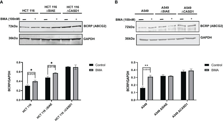 Figure 10