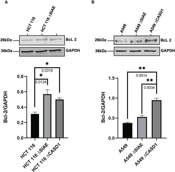 Figure 7