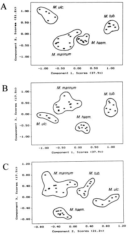 FIG. 1