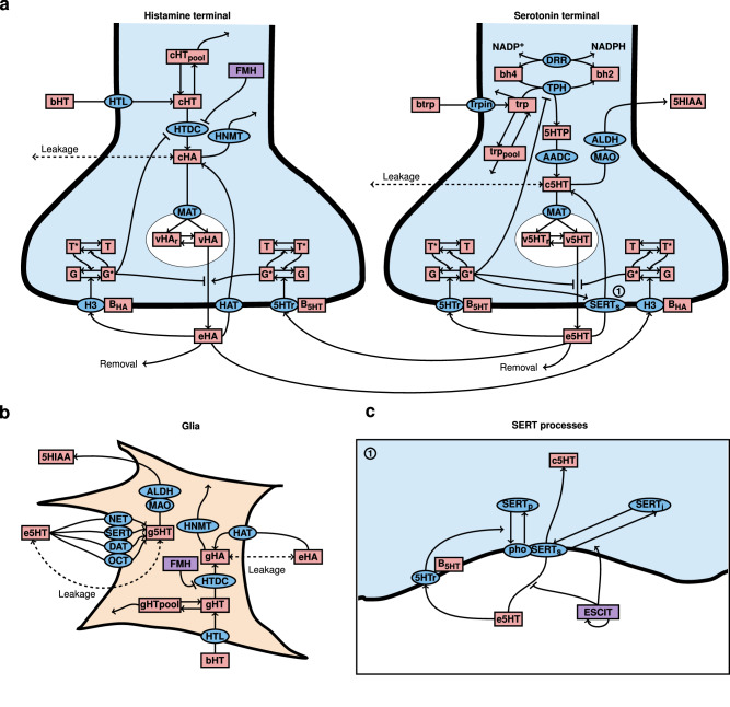 Fig. 2