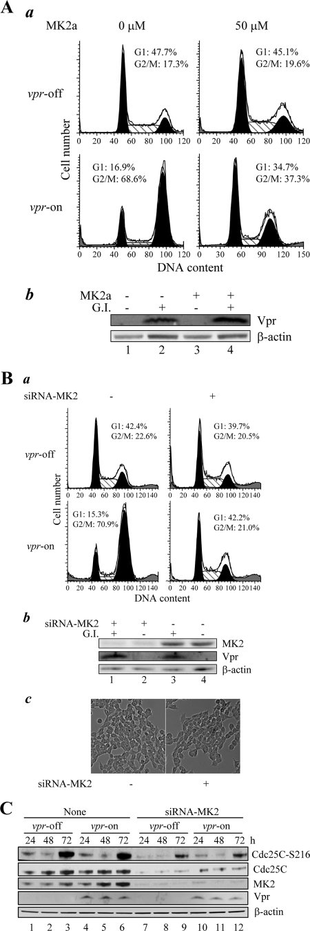 FIG. 6.